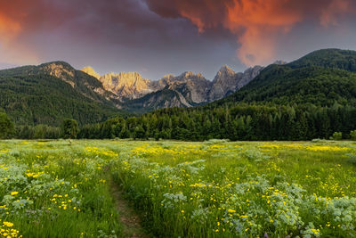 Scenic view of landscape against sky during sunset
