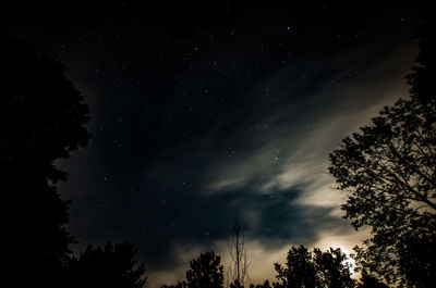 Low angle view of silhouette trees against sky at night