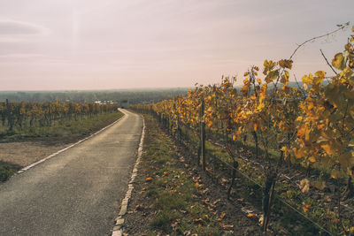 Road amidst field against sky