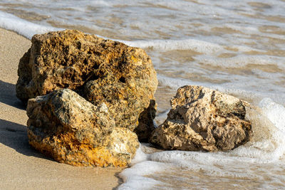 High angle view of rocks on beach