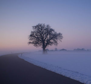 Bare tree on snow covered landscape against sky during sunset