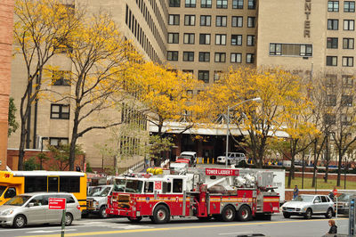 New york fire truck in front of yellow trees in autumn