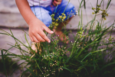 Low section of boy holding flowering plants