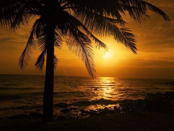 Silhouette palm tree at beach during sunset