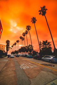 Palm trees against sky during sunset