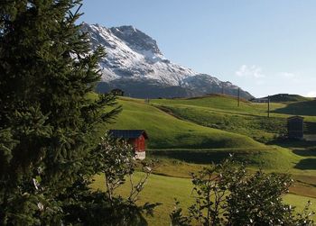 Scenic view of field by mountain against sky