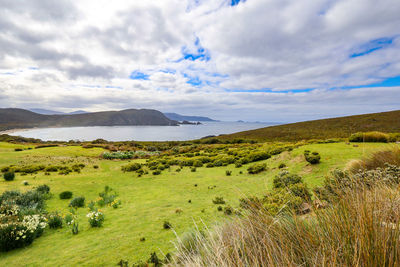 Scenic view of landscape against sky