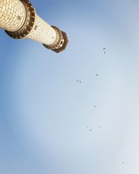 Low angle view of birds flying against the sky