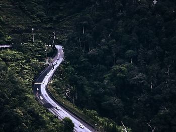 High angle view of road amidst trees in forest
