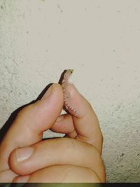 Close-up of hand holding small wall