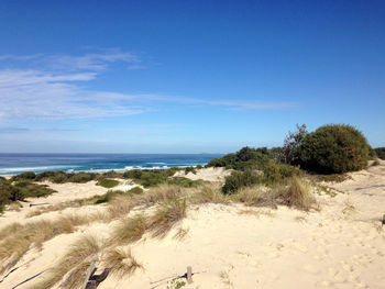 Scenic view of sea against clear blue sky