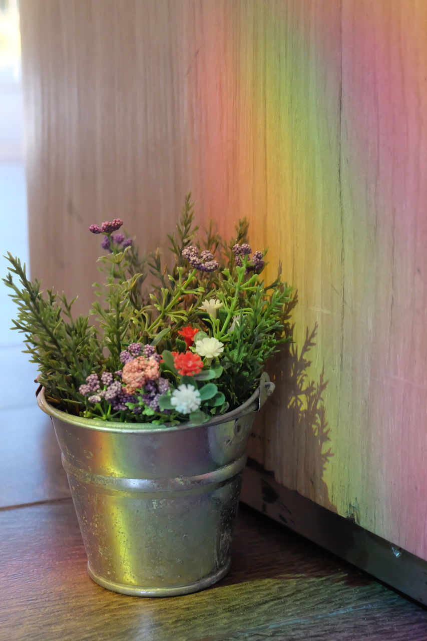 POTTED PLANT ON TABLE