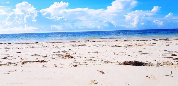 Scenic view of beach against sky