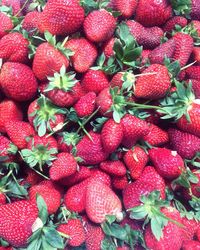 Full frame of strawberries