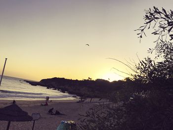 Birds flying over beach against sky during sunset