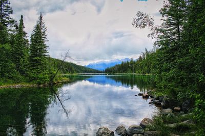 Scenic view of lake by trees against sky