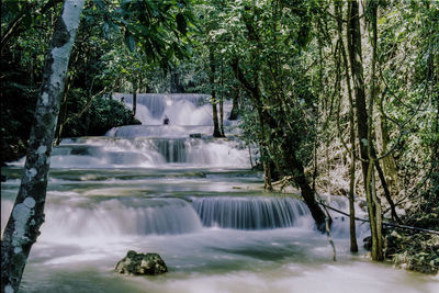 Scenic view of waterfall in forest