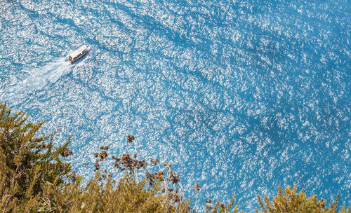 High angle view of plants on land against blue sky