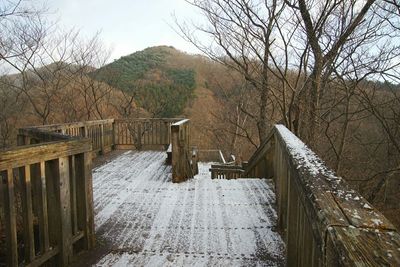 View of bridge and bare trees against sky