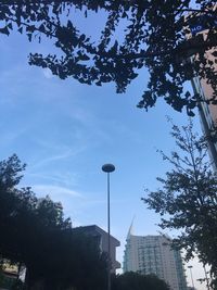 Low angle view of silhouette tree against sky in city