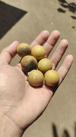 Close-up of hand holding fruit