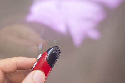 Close-up of hand holding purple flower