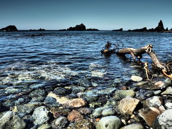 View of rocks on beach against sky