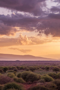 Mount kilimanjaro is a dormant volcano in the united republic of tanzania. it has three volcanic con