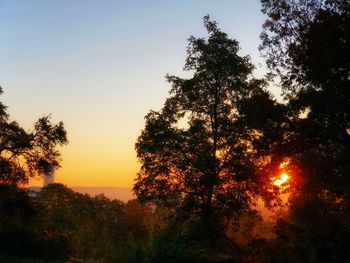 Silhouette trees against sky during sunset