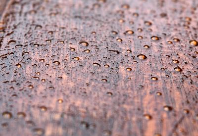 Detail shot of drops on wooden surface