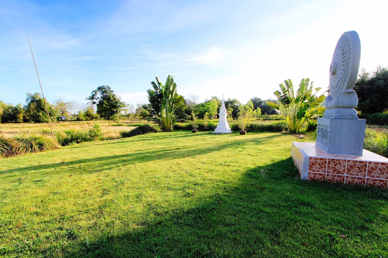 SCULPTURE ON FIELD