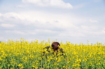 Mid adult man in oilseed rape field against cloudy sky