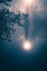 Low angle view of sunlight streaming through tree against sky