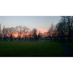 Scenic view of grassy field against sky