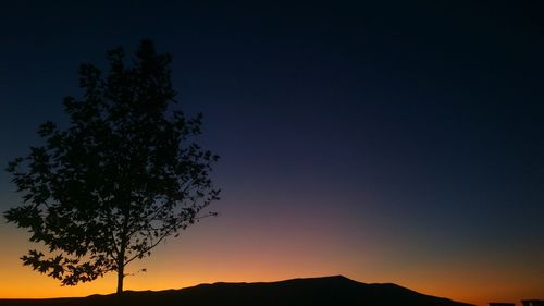 Low angle view of silhouette tree against sky at sunset