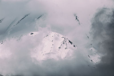 Low angle view of birds flying in sky