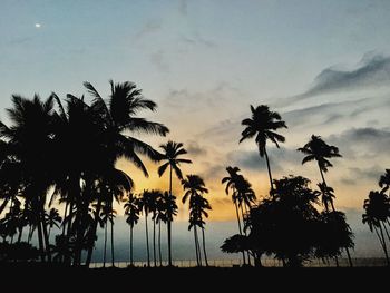 Low angle view of silhouette palm trees against sky