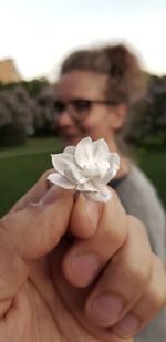 Close-up of hand holding rose flower