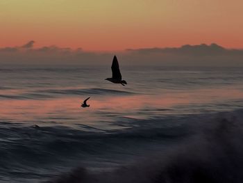 Silhouette bird flying over sea against dramatic sky