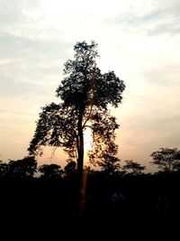 Silhouette tree against sky during sunset