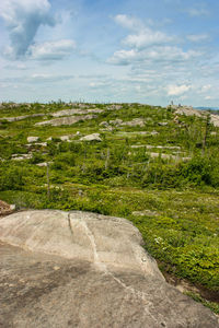 View of landscape against cloudy sky