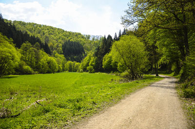 Scenic view of road amidst trees against sky