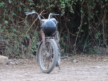 Close-up of bicycle against trees