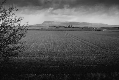 Scenic view of agricultural field against sky