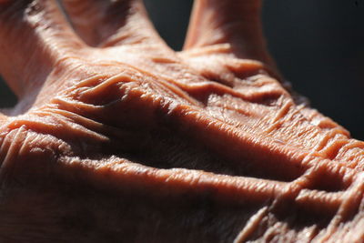 Close-up of hands