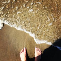 Low section of people on beach