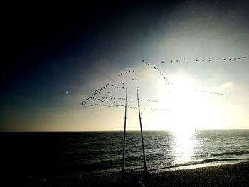 Silhouette birds flying over sea against clear sky