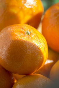 Close-up of orange