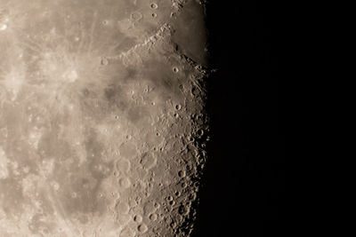 Close-up view of blurred background