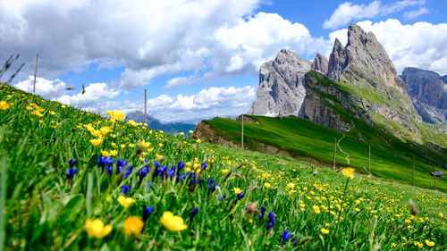 Scenic view of grassy field against cloudy sky